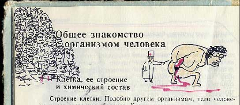 Un divertido libro de texto de biología te lleva de regreso al noveno grado Un divertido libro de texto de biología te lleva de regreso al noveno grado