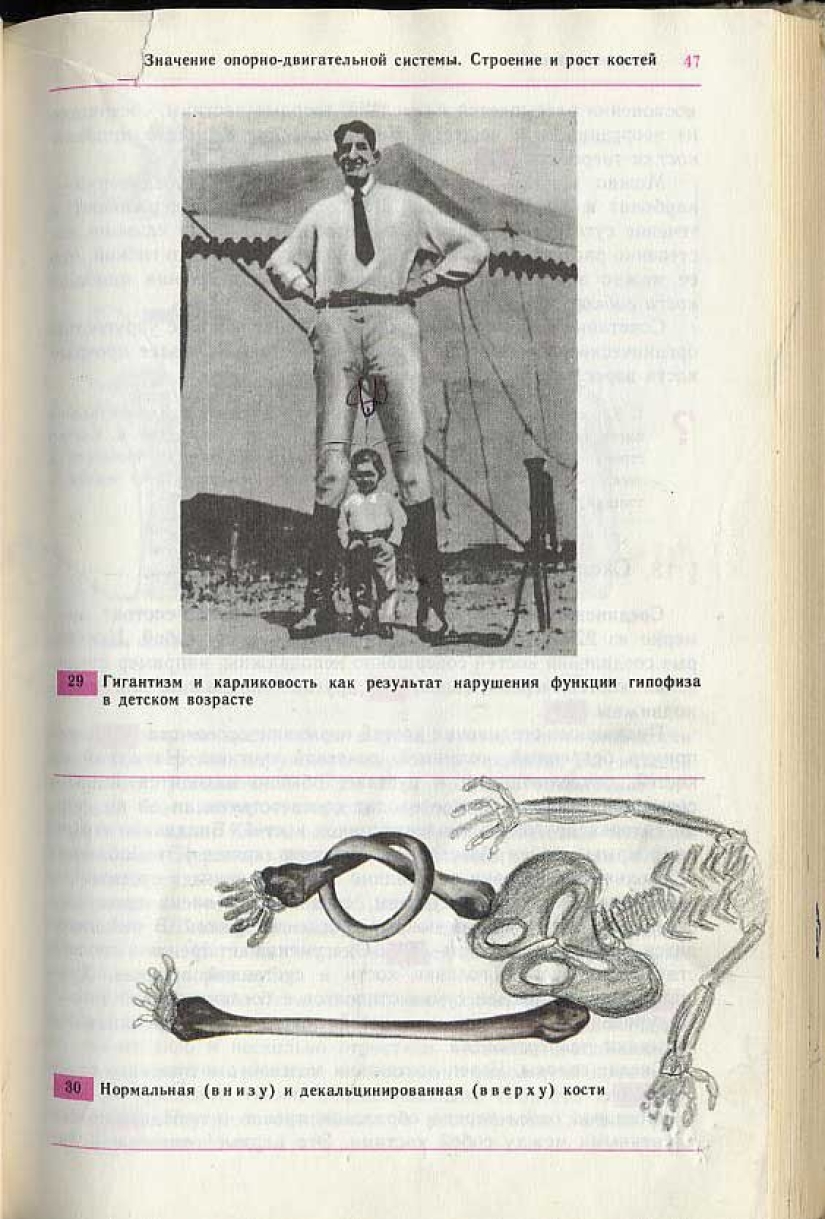 Un divertido libro de texto de biología te lleva de regreso al noveno grado Un divertido libro de texto de biología te lleva de regreso al noveno grado