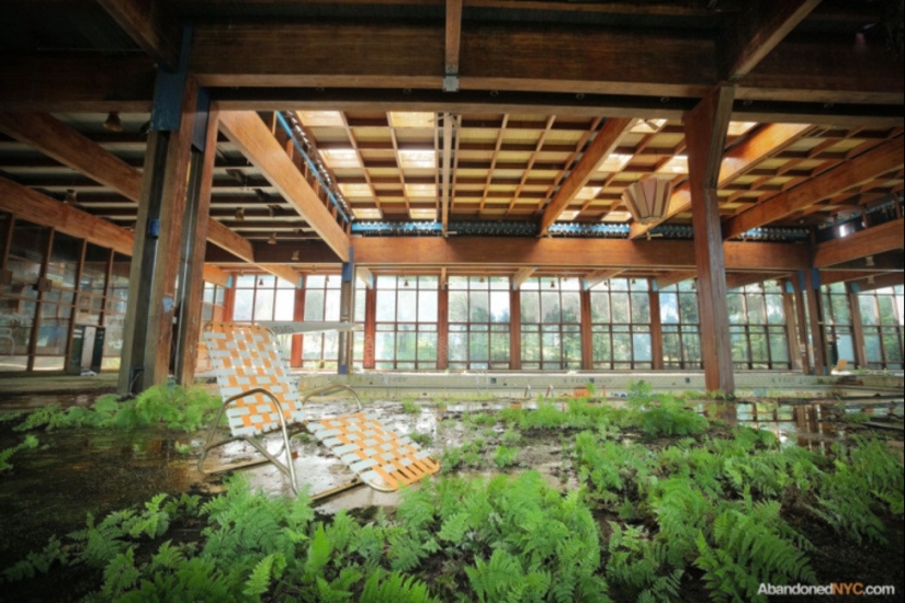 Un mundo sin seres humanos: 35 aterrador y hermoso sabrosas Un mundo sin seres humanos: 35 aterrador y hermoso sabrosas