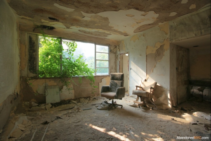 Un mundo sin seres humanos: 35 aterrador y hermoso sabrosas Un mundo sin seres humanos: 35 aterrador y hermoso sabrosas