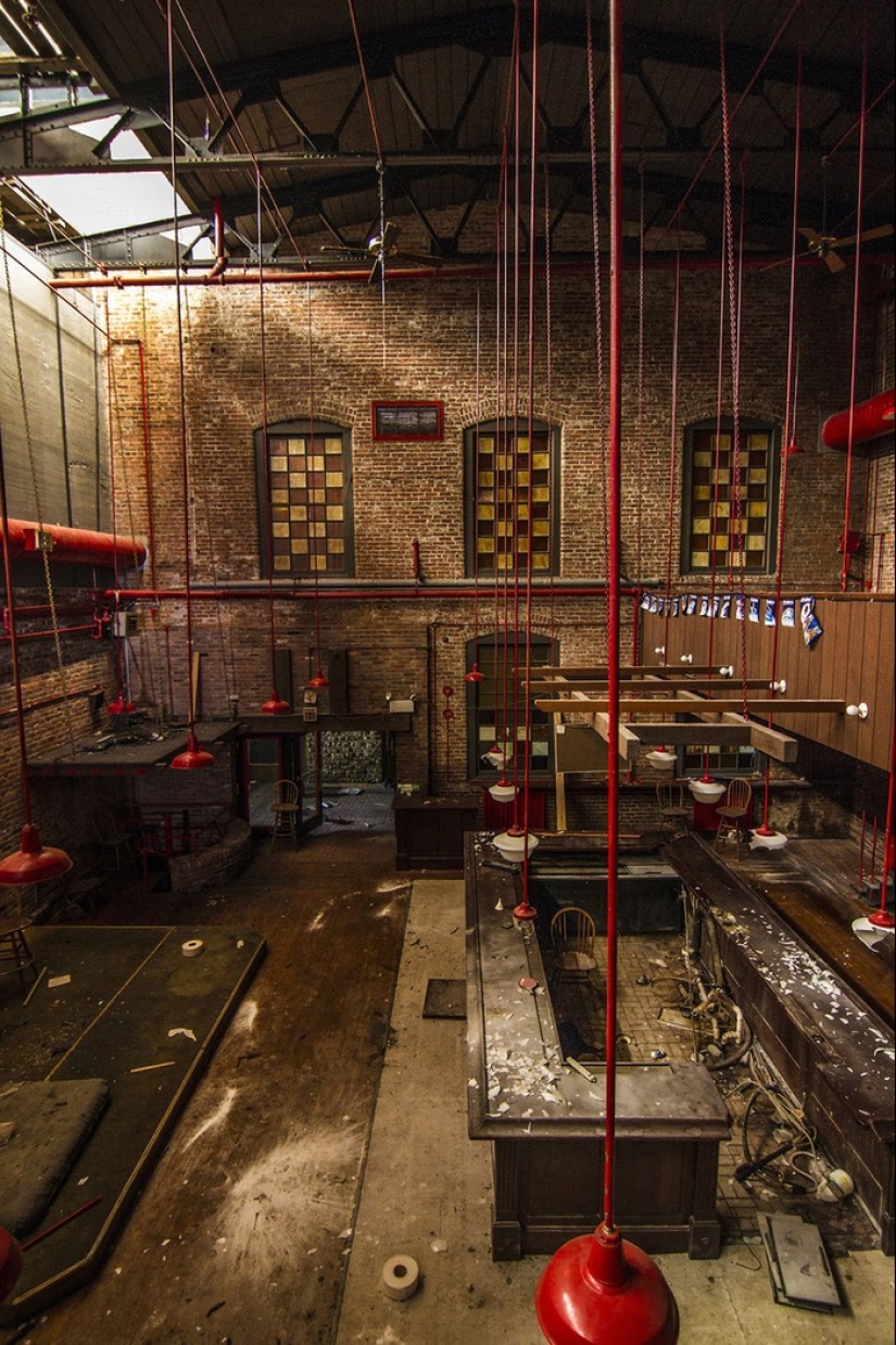 Un mundo sin seres humanos: 35 aterrador y hermoso sabrosas Un mundo sin seres humanos: 35 aterrador y hermoso sabrosas