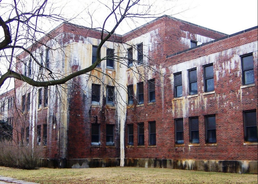 Un mundo sin seres humanos: 35 aterrador y hermoso sabrosas Un mundo sin seres humanos: 35 aterrador y hermoso sabrosas