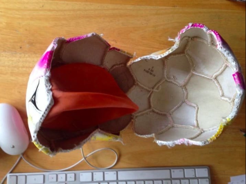 Un vistazo al interior: 15 fotos que muestran cómo funciona Un vistazo al interior: 15 fotos que muestran cómo funciona