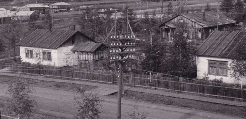 Una asombrosa historia de supervivencia en la taiga o la epopeya forestal de la estudiante Natalia Kosorukova Una asombrosa historia de supervivencia en la taiga o la epopeya forestal de la estudiante Natalia Kosorukova