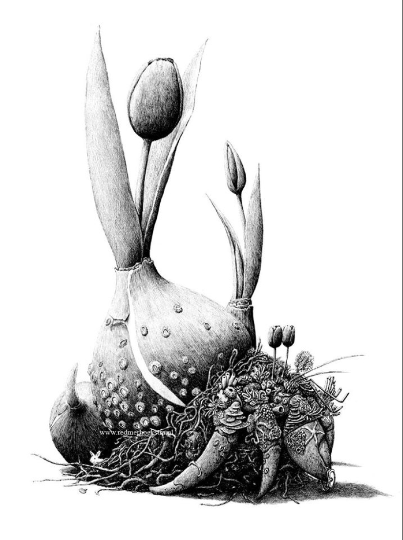 Una mirada inusual a las joyas de Peter Lippman