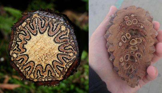 ¡Una vez y media! 22 fotos de cosas familiares en la sección ¡Una vez y media! 22 fotos de cosas familiares en la sección