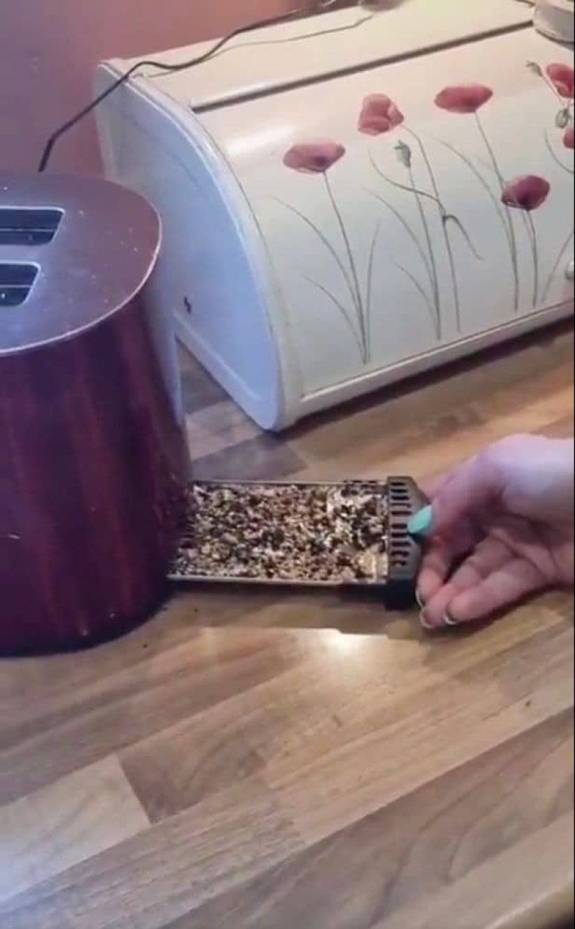 Unblemished reputation: 7 places in the kitchen where dirt hides, and tips on how to get rid of it Unblemished reputation: 7 places in the kitchen where dirt hides, and tips on how to get rid of it