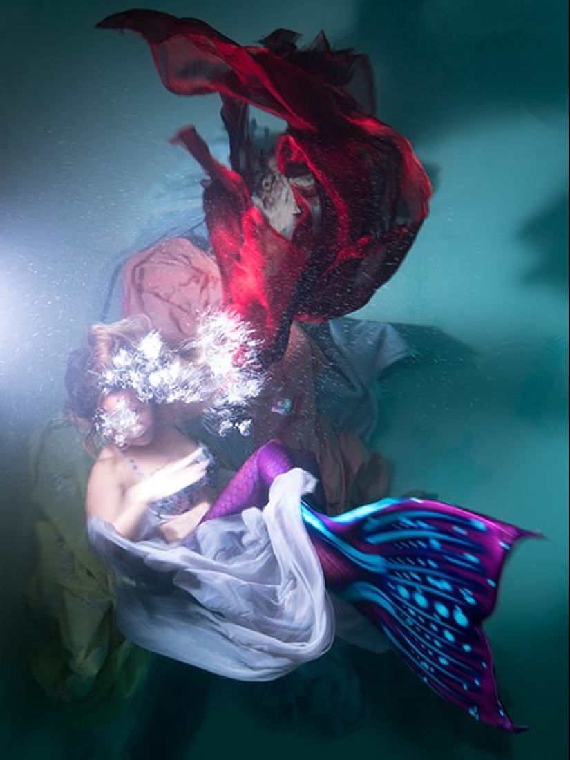 Underwater Baroque by Christy Lee Rogers