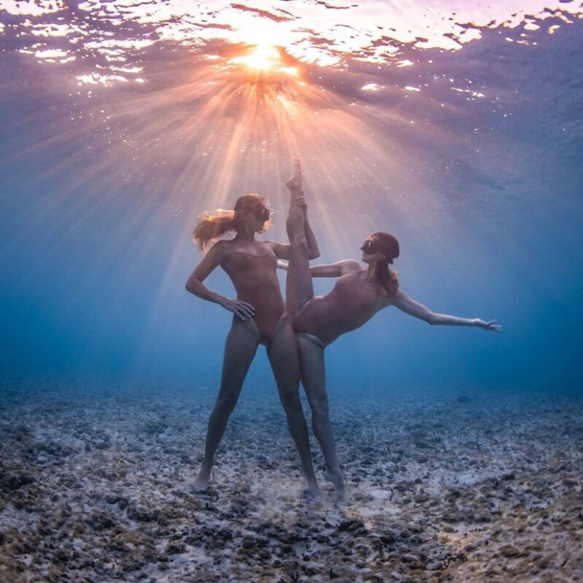 Underwater extravaganza of diver and photographer Jason Washington