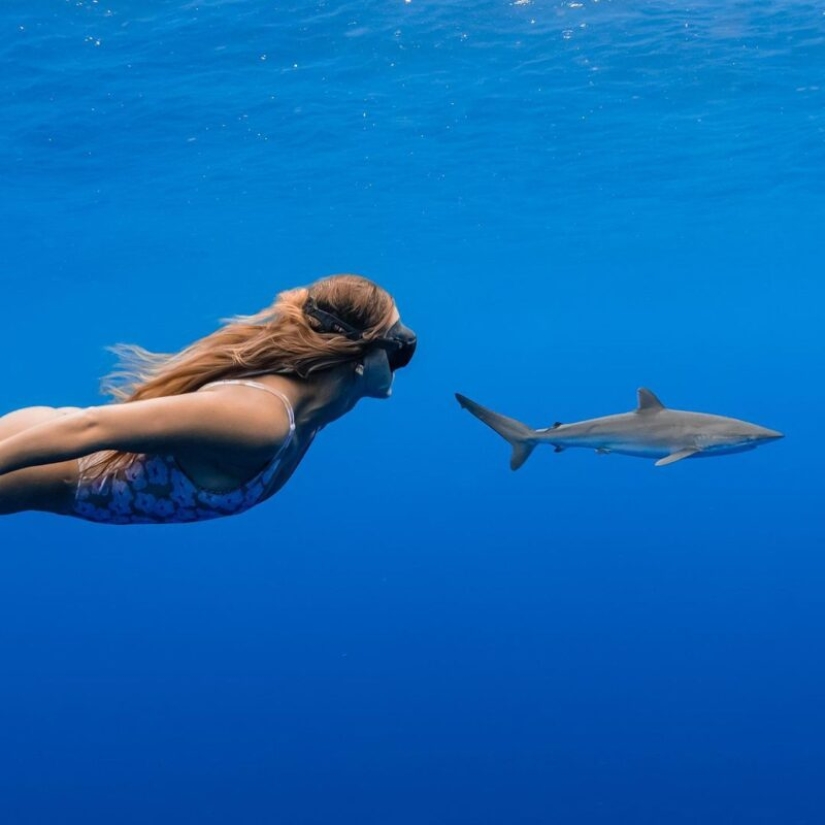 Underwater extravaganza of diver and photographer Jason Washington