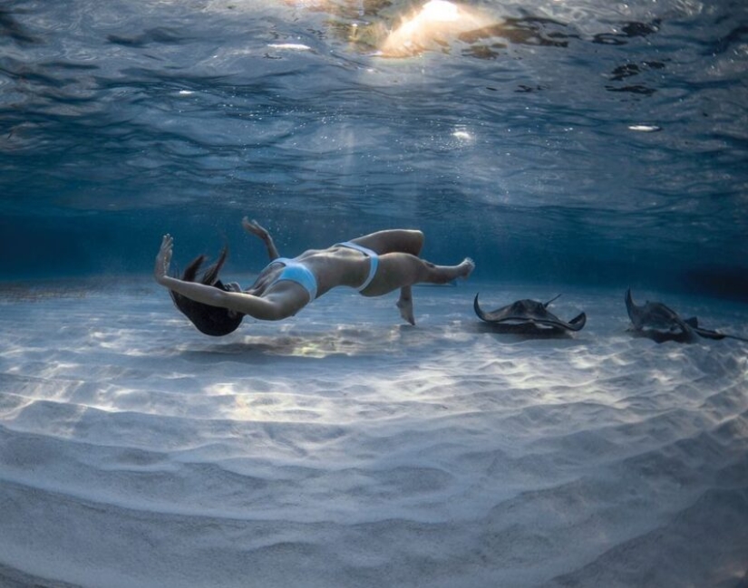 Underwater extravaganza of diver and photographer Jason Washington