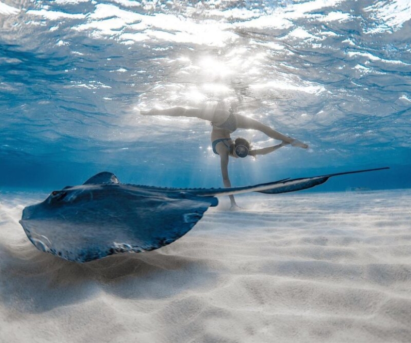Underwater extravaganza of diver and photographer Jason Washington