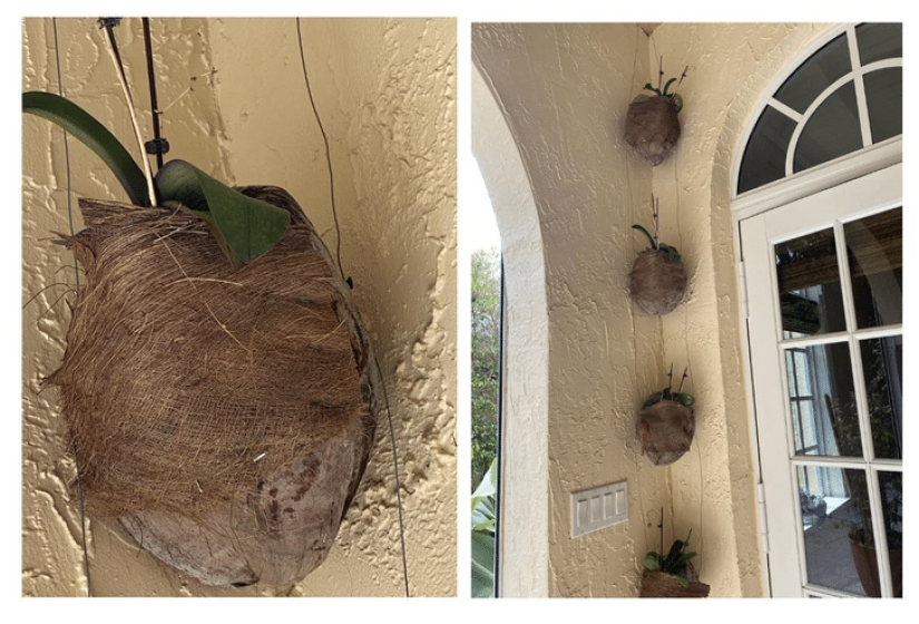 Unexpected solutions to everyday problems: 20 simple and ingenious life hacks from the Internet Unexpected solutions to everyday problems: 20 simple and ingenious life hacks from the Internet