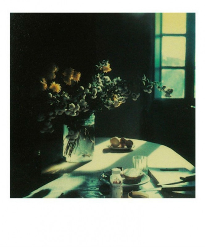 Unknown Polaroids by Andrei Tarkovsky from the personal archive