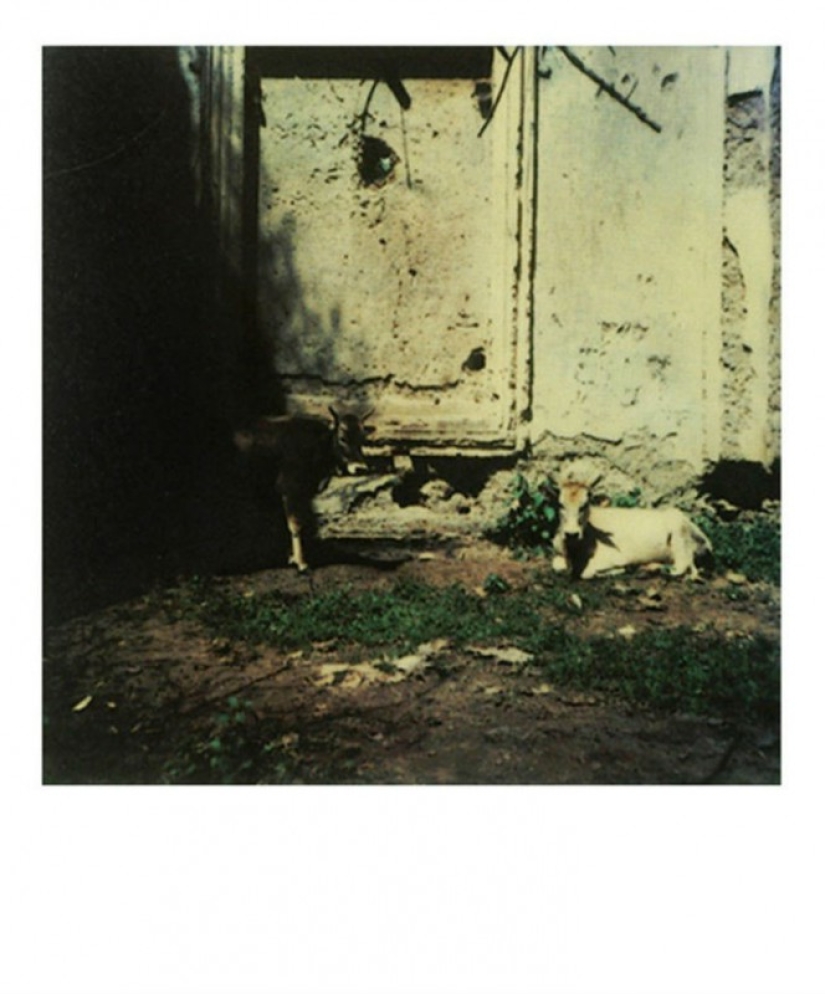 Unknown Polaroids by Andrei Tarkovsky from the personal archive