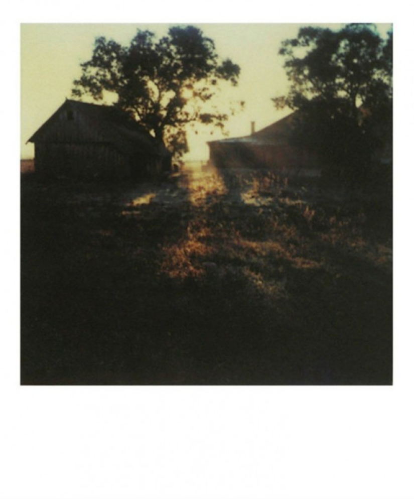 Unknown Polaroids by Andrei Tarkovsky from the personal archive