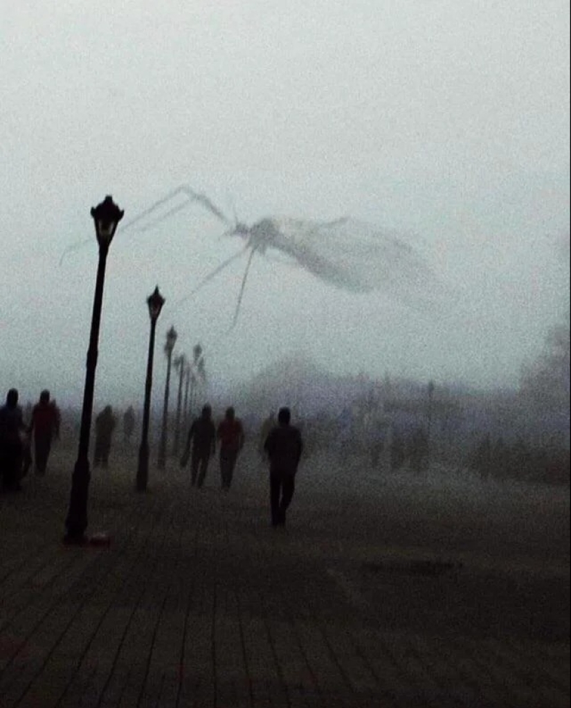 Up to goosebumps: 22 photos in which you see something terrible Up to goosebumps: 22 photos in which you see something terrible