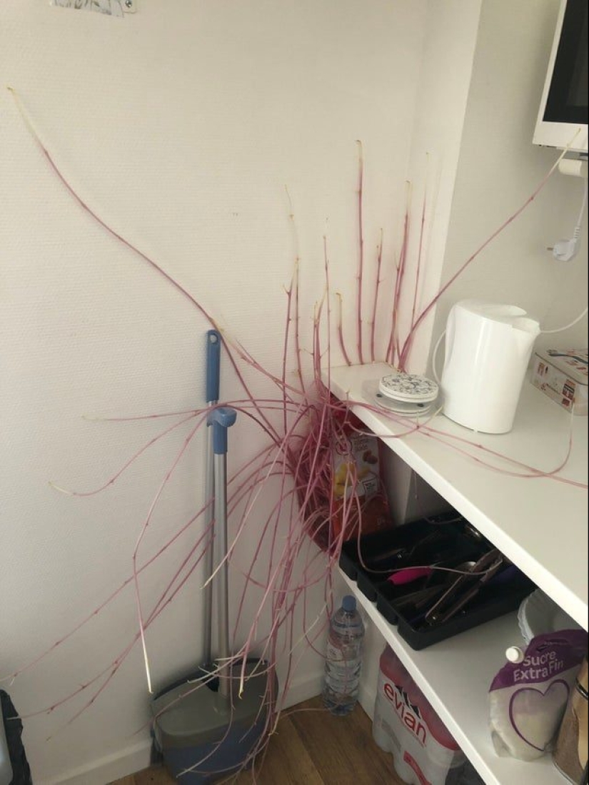 Up to goosebumps: 22 photos in which you see something terrible Up to goosebumps: 22 photos in which you see something terrible