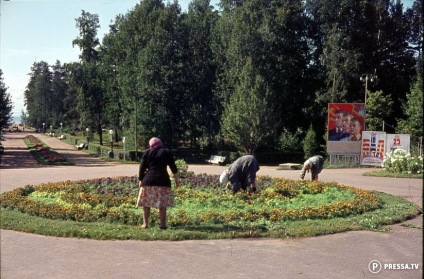USSR in color: photographs of streets of Leningrad in the 1960s of the year
