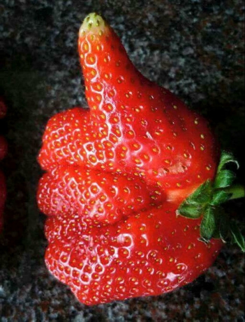 Verduras y frutas que te recuerdan que la naturaleza tiene un gran sentido del humor Verduras y frutas que te recuerdan que la naturaleza tiene un gran sentido del humor