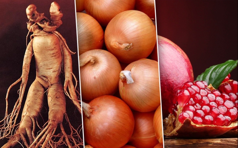 Very strange things which excited the ancient Egyptians Very strange things which excited the ancient Egyptians