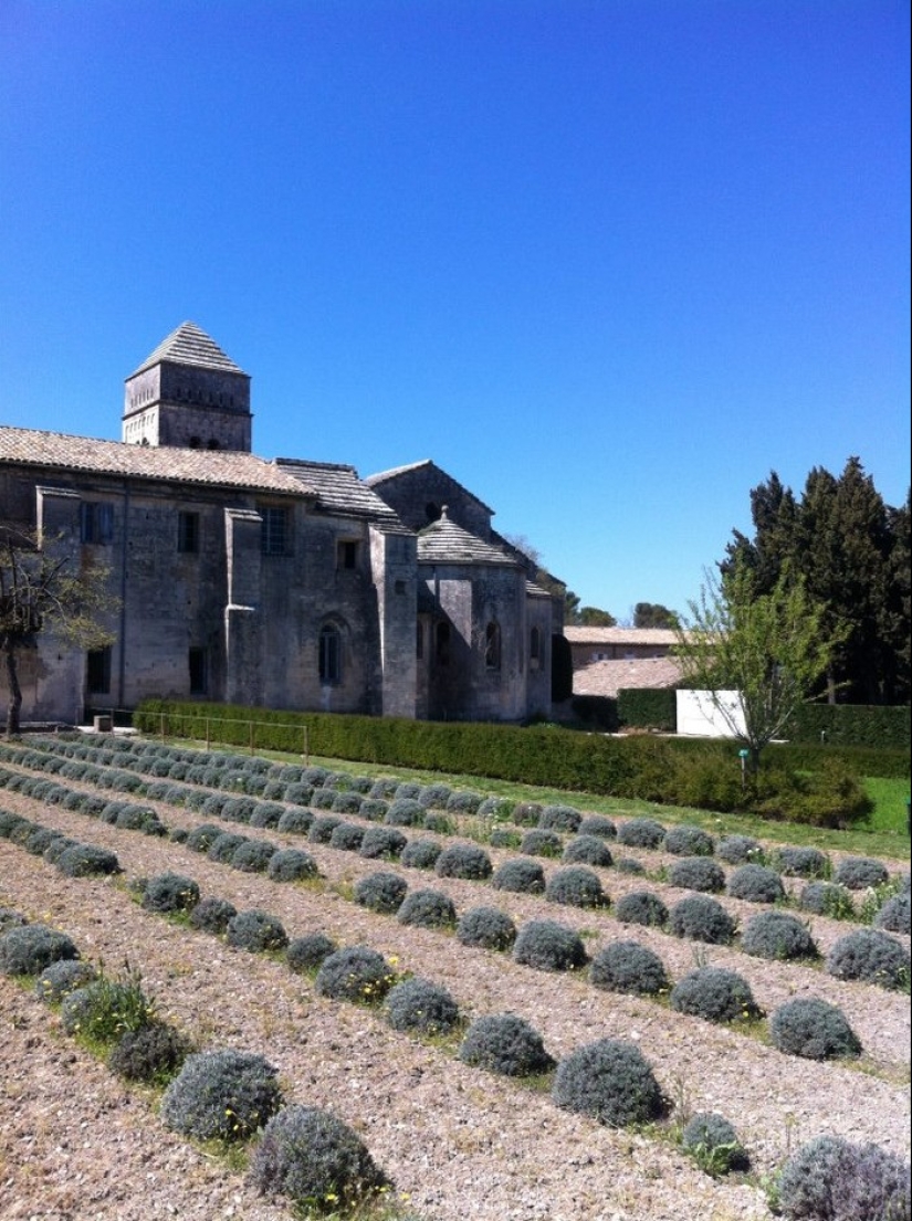 Vincent Van Gogh - about the experience of experiencing a mental disorder Vincent Van Gogh - about the experience of experiencing a mental disorder