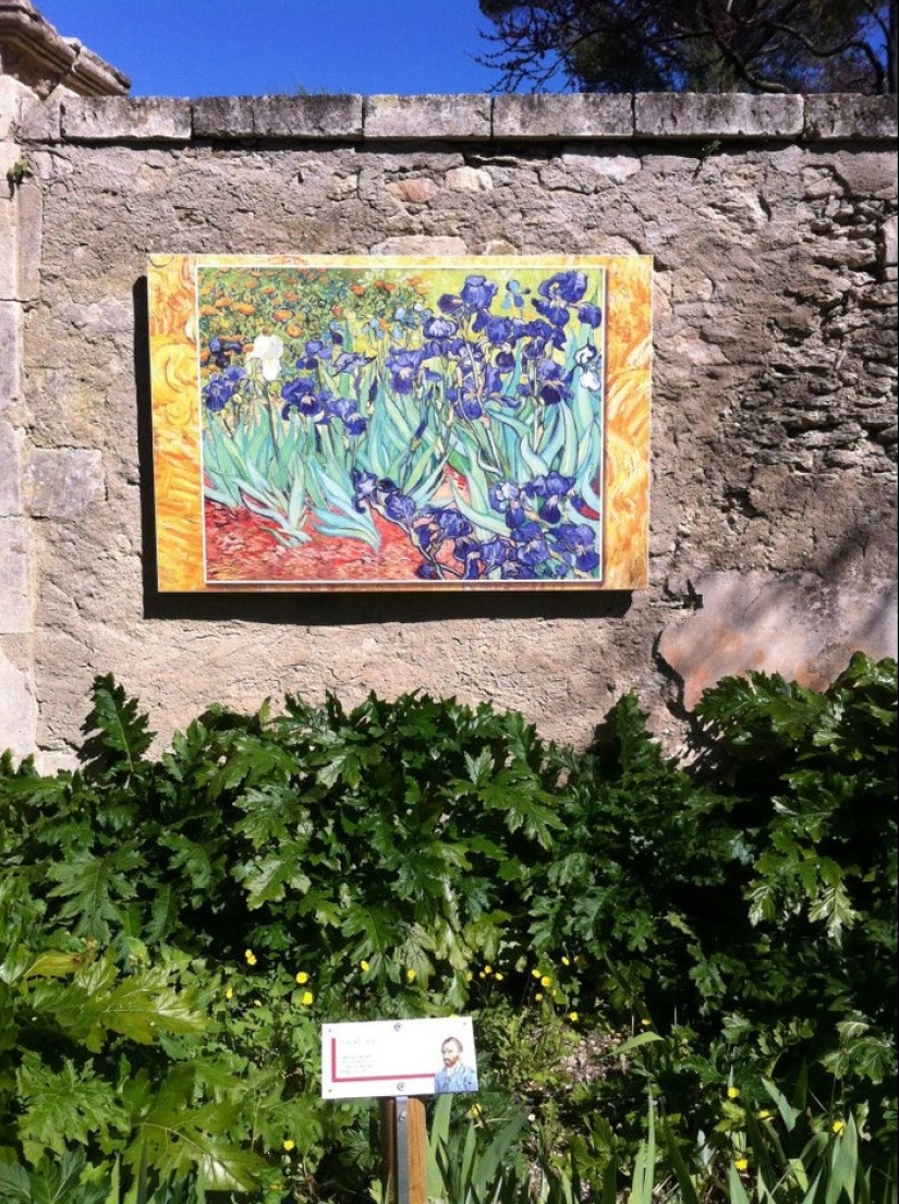 Vincent Van Gogh - about the experience of experiencing a mental disorder Vincent Van Gogh - about the experience of experiencing a mental disorder