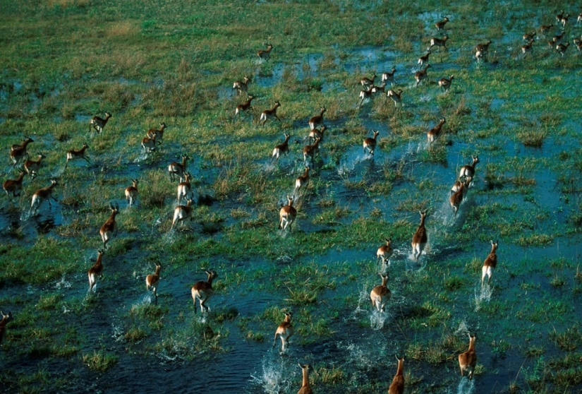 vista aérea de áfrica