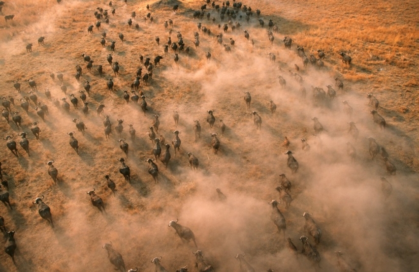 vista aérea de áfrica