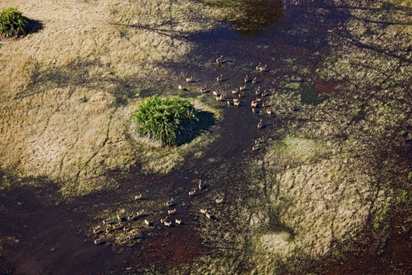 vista aérea de áfrica