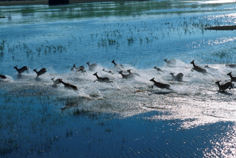 vista aérea de áfrica