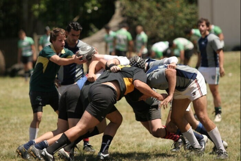 "Vodka, oso, tosca": en Reddit, llaman a su país con pistas "Vodka, oso, tosca": en Reddit, llaman a su país con pistas