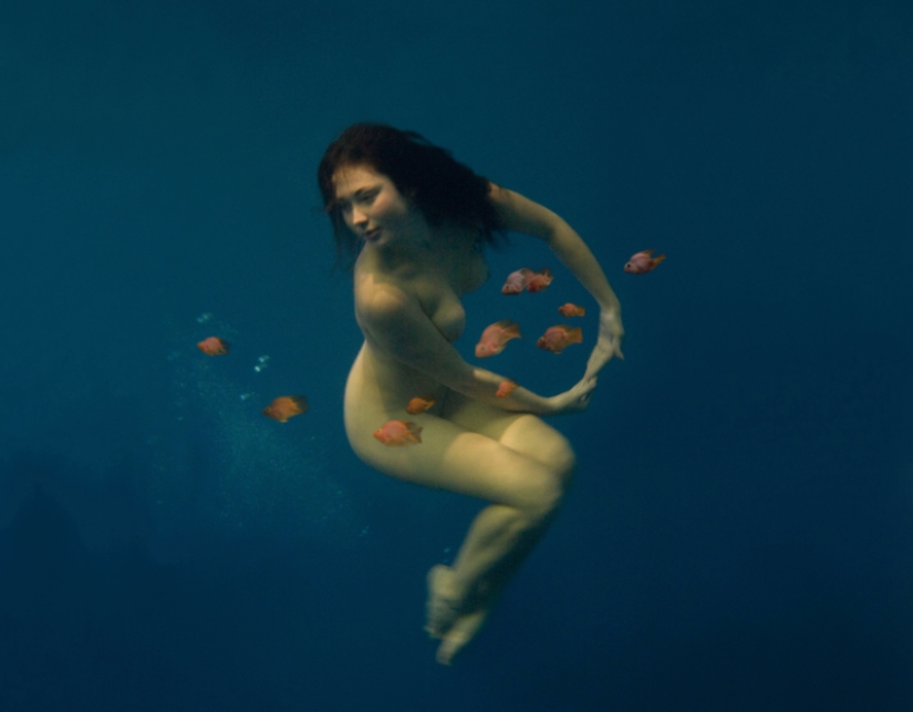 Volando bajo el agua en las maravillosas obras fotográficas de Katerina Bodrunova