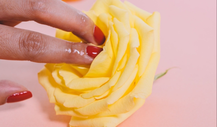 Vulva and vagina are not the same + 8 more facts about the female genital organ