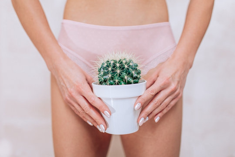 Vulva and vagina are not the same + 8 more facts about the female genital organ