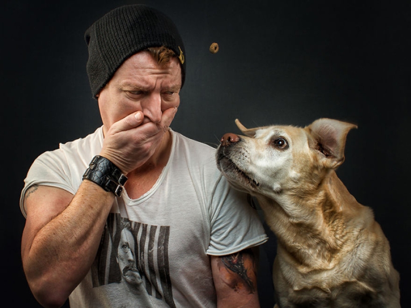 Want a yummy and not raskoryachishsya: funny dogs catch the food