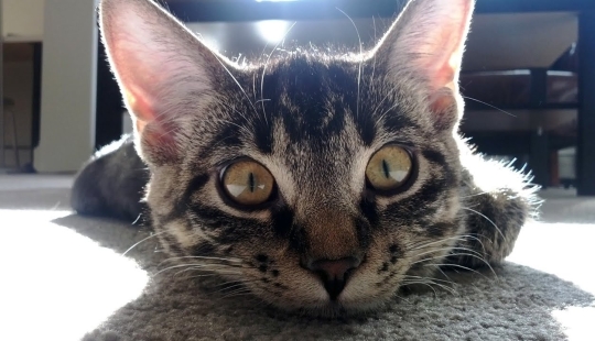 Want to laugh? Then be sure to take a look at these little darlings