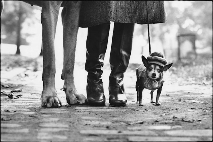 Warm and funny photos of Elliot Erwitt