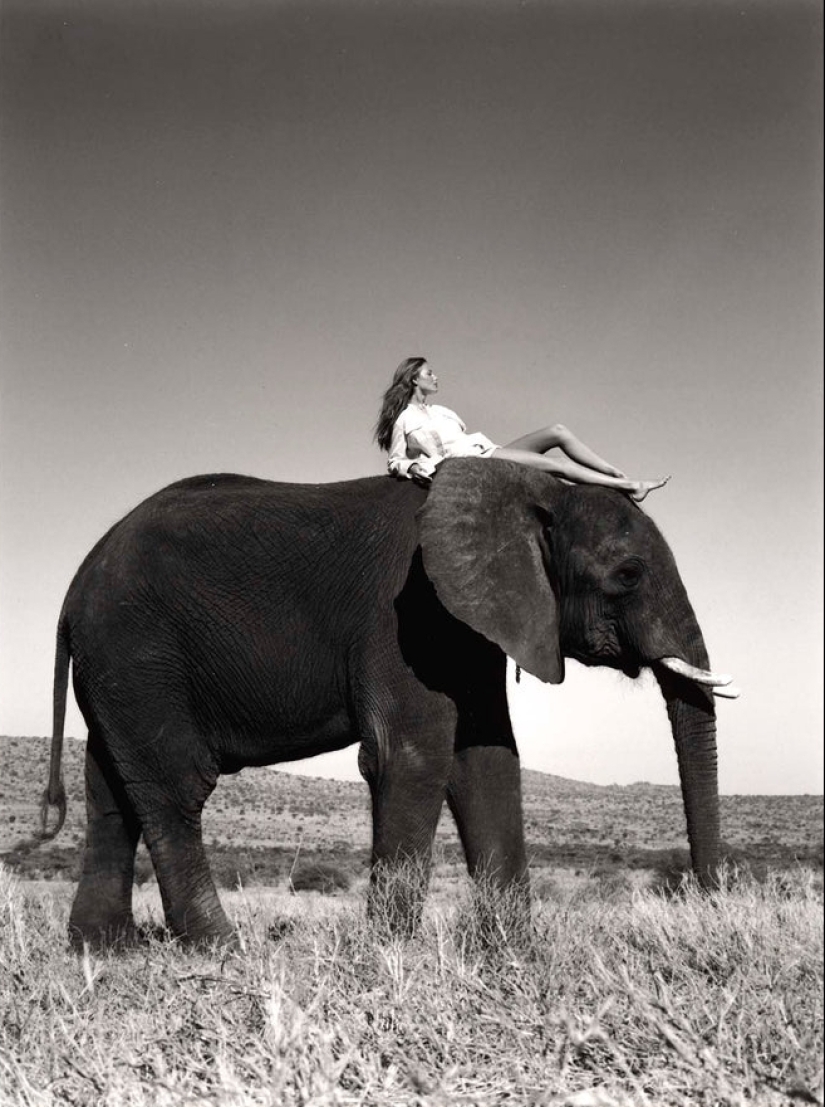 Wayne Mather, fotógrafo de las estrellas: La provocación se convierte en arte Wayne Mather, fotógrafo de las estrellas: La provocación se convierte en arte