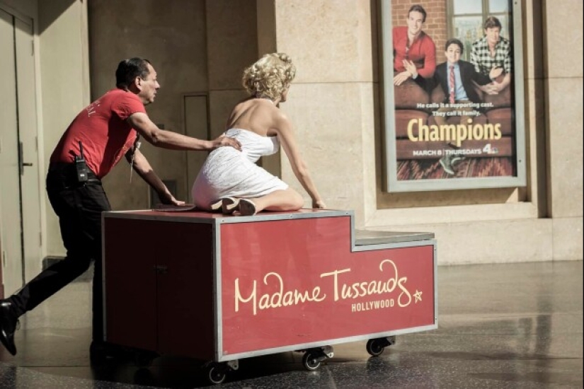 "We shoot to make people ask questions": a selection of photos desperately demanding explanations