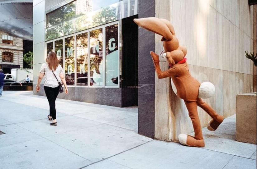 "We shoot to make people ask questions": a selection of photos desperately demanding explanations