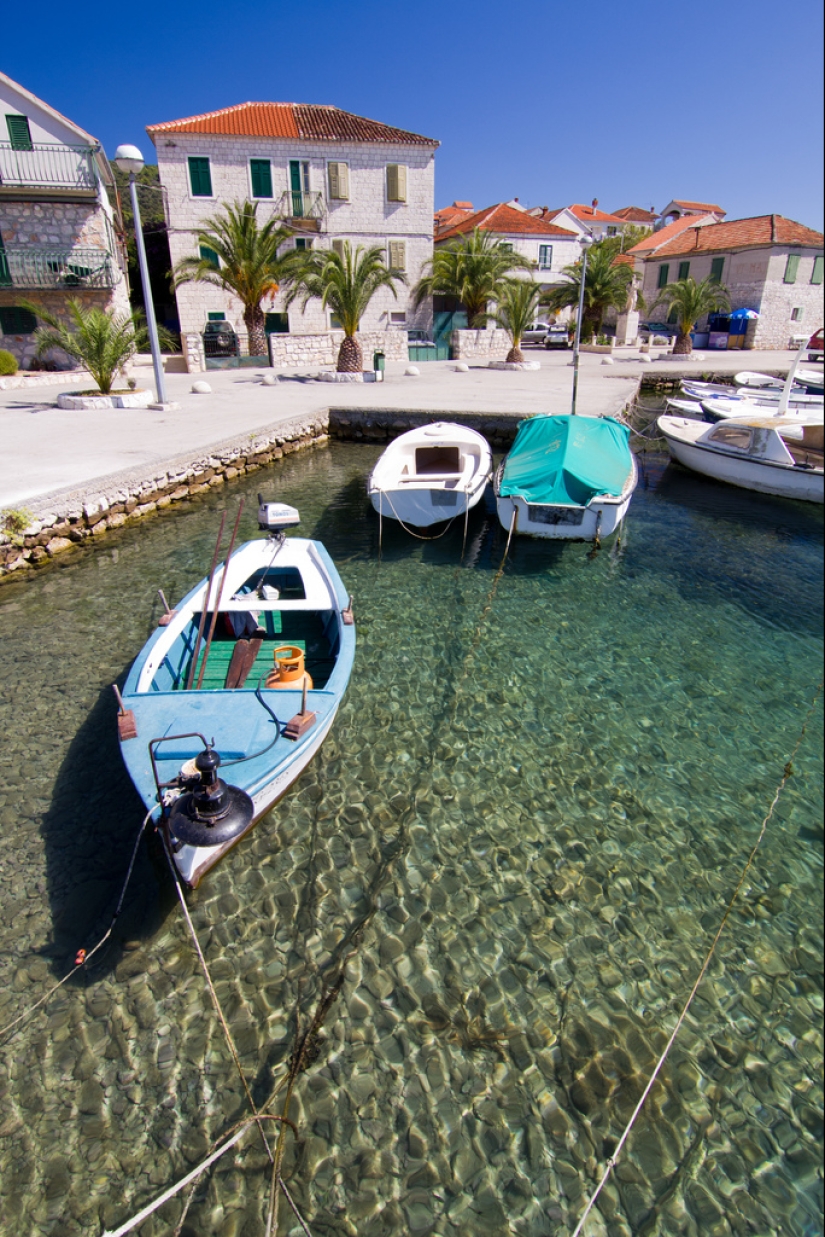 Weightlessness on the water