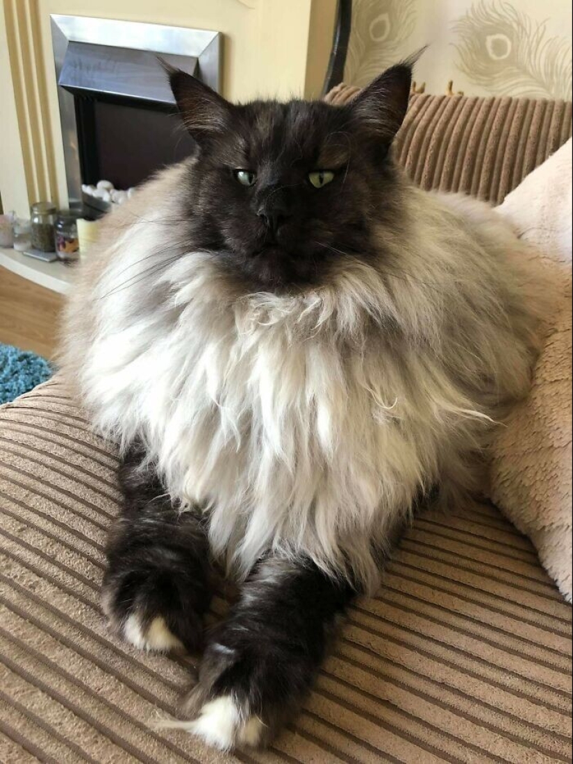 Well, what a whopper! 35 giants of our world