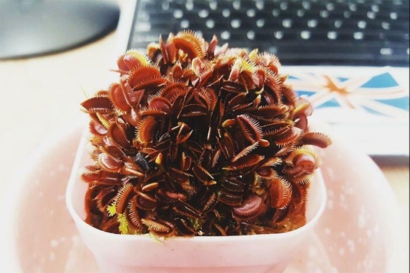 Well, wow! 27 photos from the WTF Reddit community Well, wow! 27 photos from the WTF Reddit community