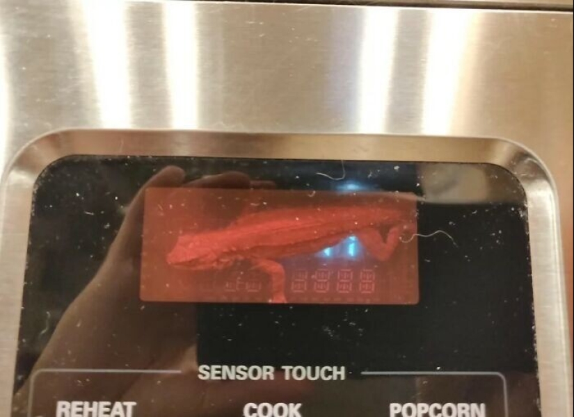 Well, wow! 27 photos from the WTF Reddit community Well, wow! 27 photos from the WTF Reddit community