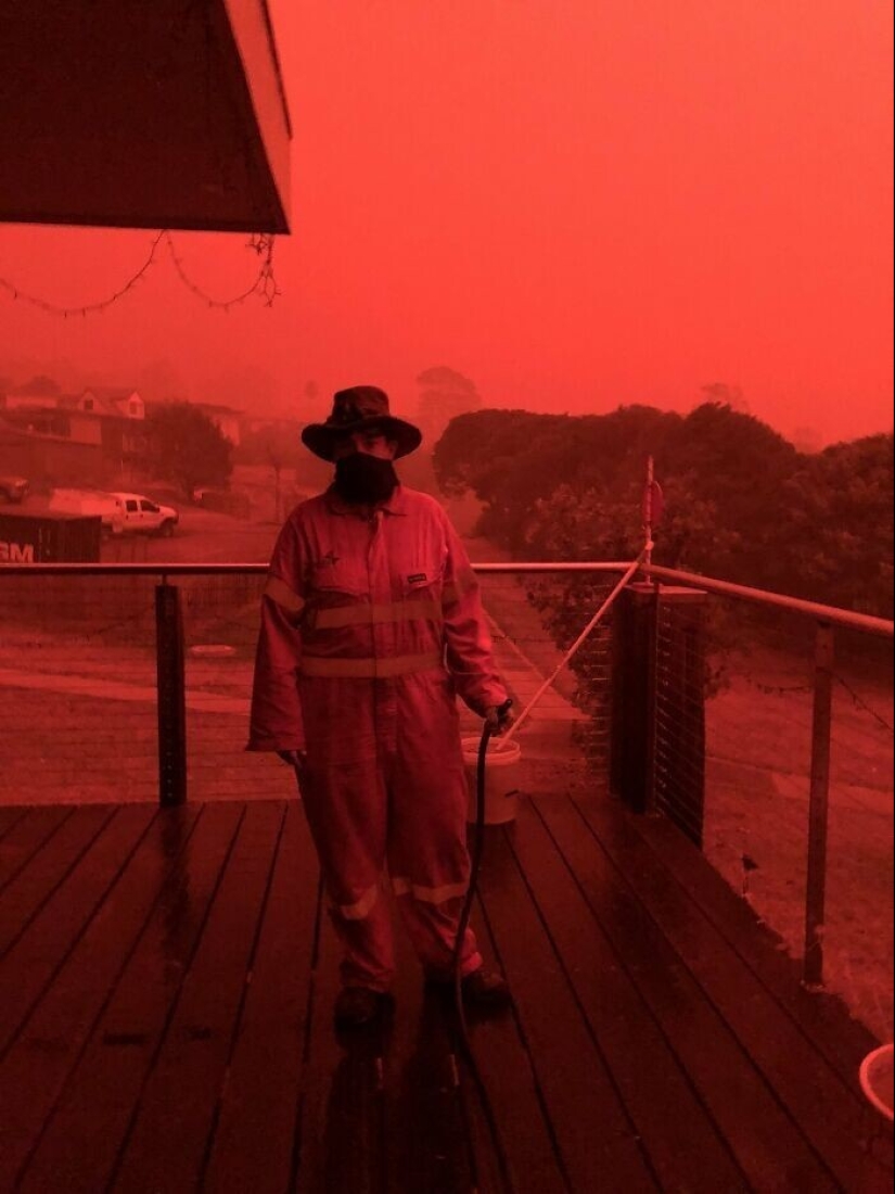 Well, wow! 27 photos from the WTF Reddit community Well, wow! 27 photos from the WTF Reddit community