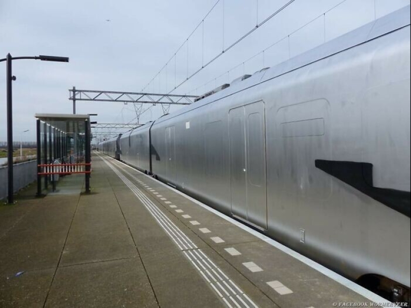 Well, wow! 27 photos from the WTF Reddit community Well, wow! 27 photos from the WTF Reddit community