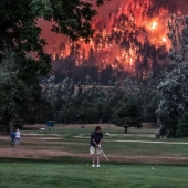 Well, wow! 27 photos from the WTF Reddit community