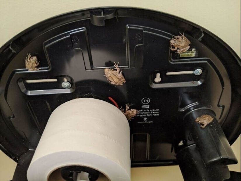 Well, wow! 27 photos from the WTF Reddit community Well, wow! 27 photos from the WTF Reddit community