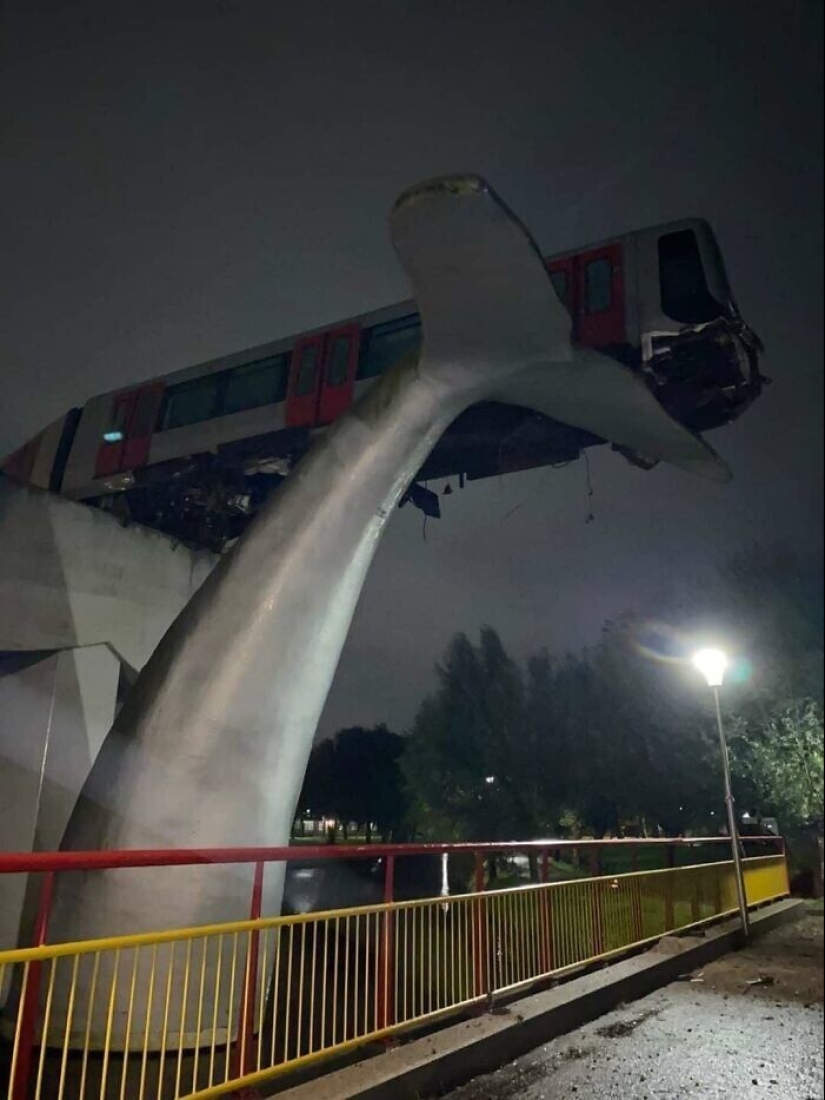 Well, wow! 27 photos from the WTF Reddit community Well, wow! 27 photos from the WTF Reddit community